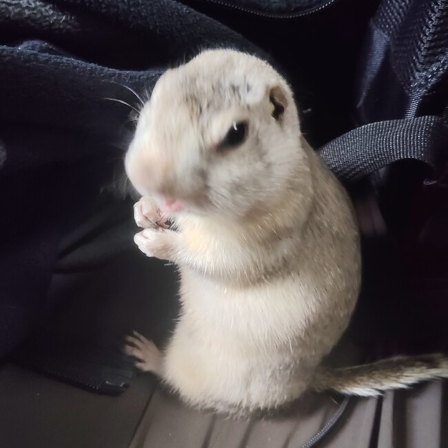 nobu4700のカバー写真