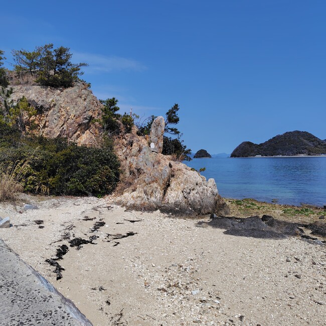 紅茶花伝アップルティーのカバー写真