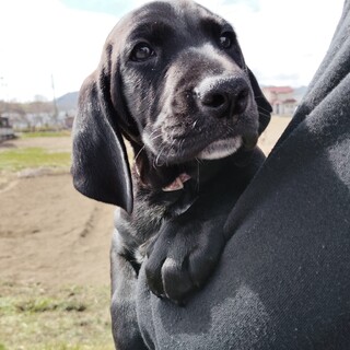 ７兄妹の長男☆ナイトくん