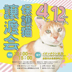 保護猫譲渡会（予約不要）