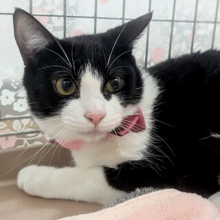 【3/29東日本橋】イケメン♡孝太郎