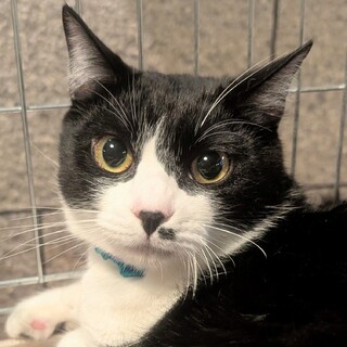 【3/29東日本橋】イケメン♡進次郎