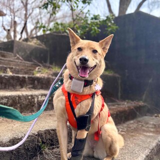 “みいろ” 女の子