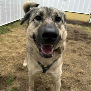 “きろろ” 女の子