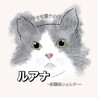 ルアナ 〜保護猫のおうち〜