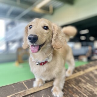 人が大好き甘えん坊な男の子