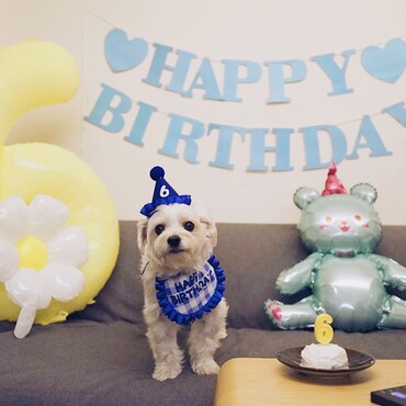 6歳のお誕生日❤️‍