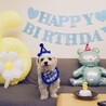 6歳のお誕生日❤️‍