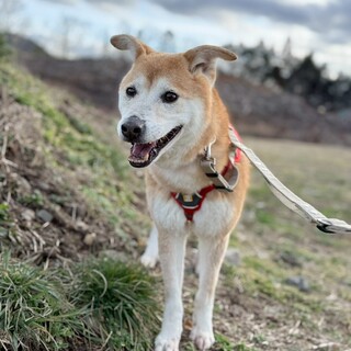 ピョン耳が可愛い【歩美】ちゃん♡