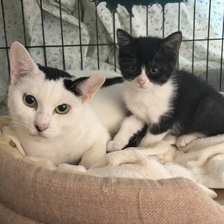 【4/5赤羽橋】苦難の末再会した親子に温かい愛を