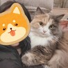 ピノみお