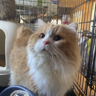 甘えたさんでかまってちゃんのたくちゃん