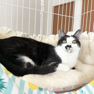 【3/29東銀座】いけおじくん★５歳♪