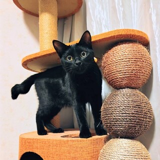 【3/29東銀座】澪くん★10ヵ月半♪