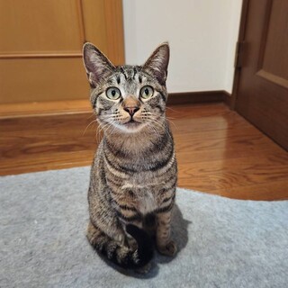 【3/29東銀座】渚くん★10ヵ月半♪