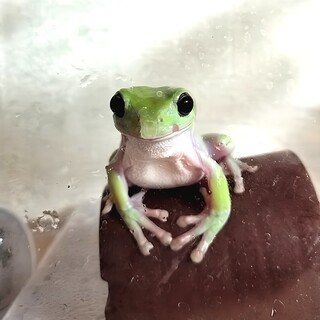 交渉中の為、一時ストップでお願いします。