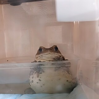 交渉中の為、一時ストップでお願いします。