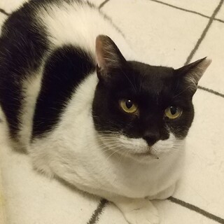 個性派キュートな女の子！人馴れ頑張るムー子