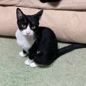 くーちゃんといっぱい遊んで！