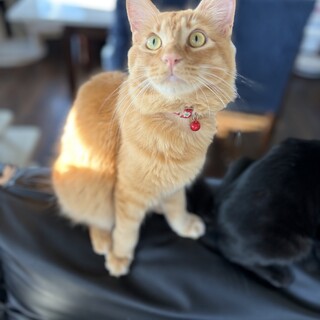 凛々しく勇敢な瑳一