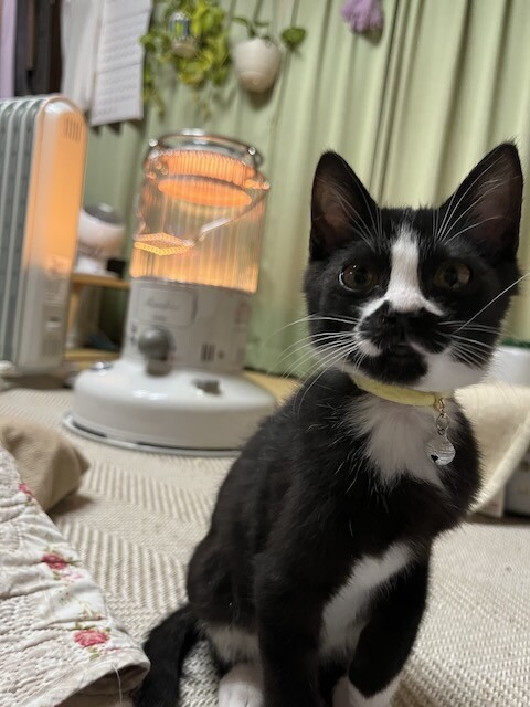 りゅう