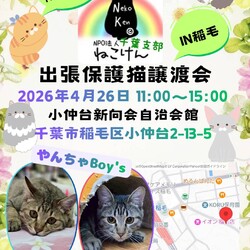 ねこけん千葉支部　譲渡会