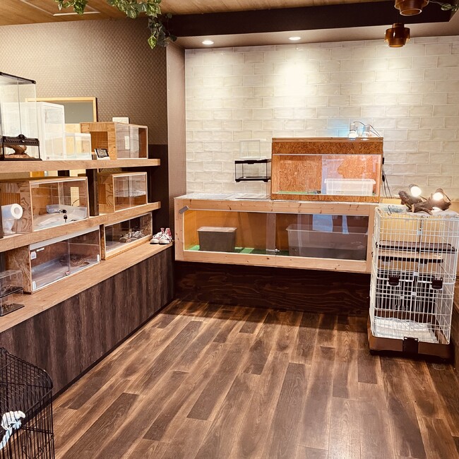 ぽんチョのカバー写真