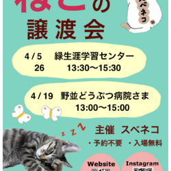 猫の譲渡会 ４/26（日）緑生涯学習センターで開催