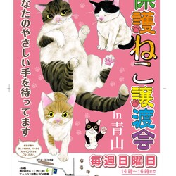 保護ねこ譲渡会