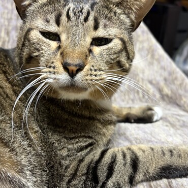 いま一番心配されてるのはちょここんさん！みんな貴方に何かあれば耐えられない！！だからしっかりしてね！！！