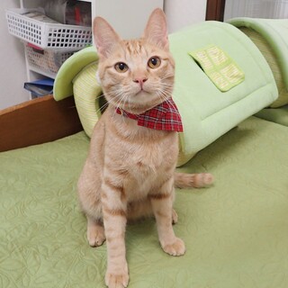 【3/29東銀座】陽太くん★９ヵ月♪