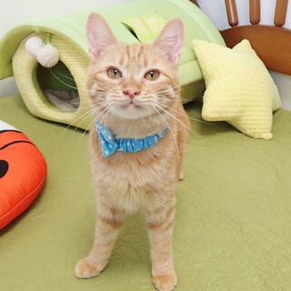 【3/29東銀座】裕也くん★９ヵ月♪