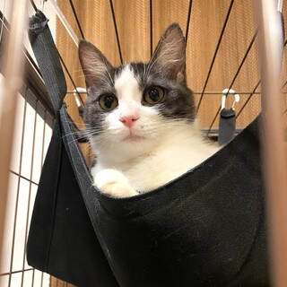 【3/29東銀座】イリアちゃん★６ヵ月♪