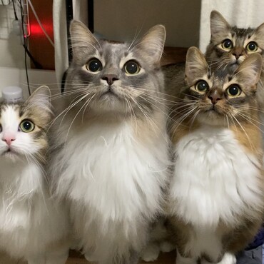 の写真