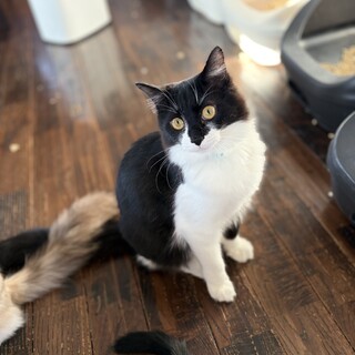 白黒モフモフのずっず