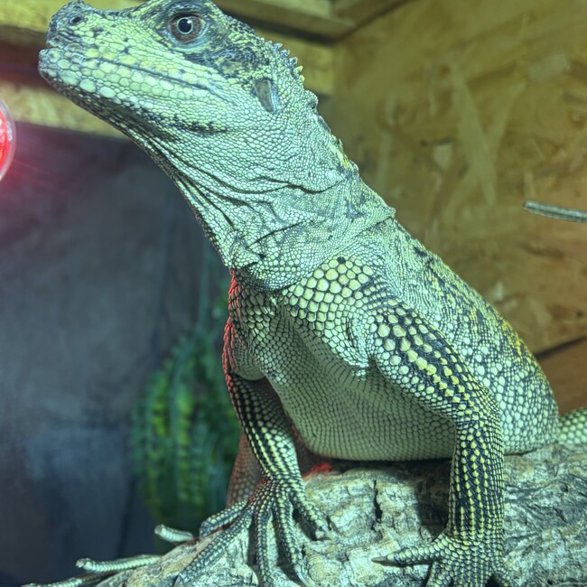 taisoukohaのカバー写真