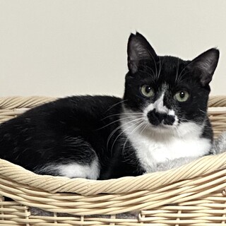 ちょっとビビリなイケメン　けん太君