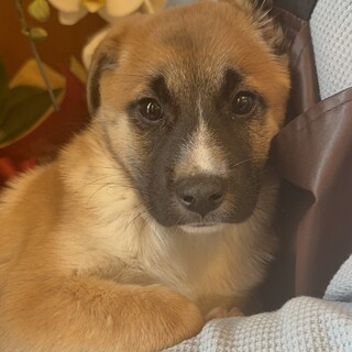 怖がりな男の子の『スポンジ』くん(^-^)