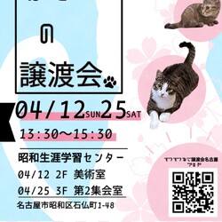 猫の譲渡会　in　名古屋市昭和生涯学習センター