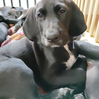 ７兄妹の次男☆ウォーカーくん