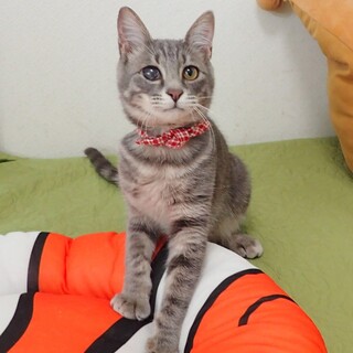 【3/29東銀座】ラッキーくん★７ヵ月♪