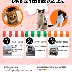 流山市♡保護猫譲渡会♡NPO法人にゃん2