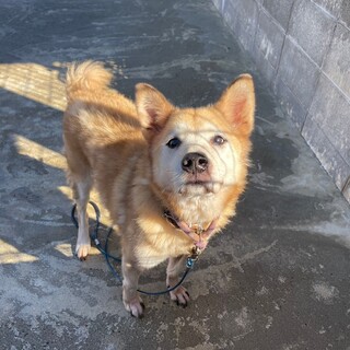 最期の憩いの家族を求めて♡源じぃ