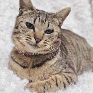 大至急！気軽にお問い合わせください！女の子♡