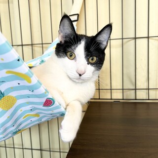 【3/29東銀座】ラブくん★11ヵ月半♪