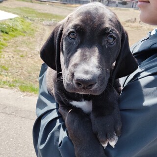 ７兄妹の三男☆シャドウくん