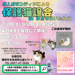 長崎の個人ボランティアによる保護猫譲渡会4月