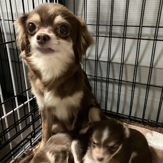 頑張ってきたお母さん。幸せになって欲しい