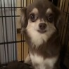 一旦募集停止します サムネイル2