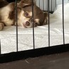 一旦募集停止します サムネイル3